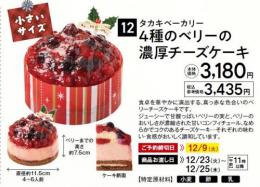 タカキベーカリー 4種のベリーの濃厚チーズケーキ